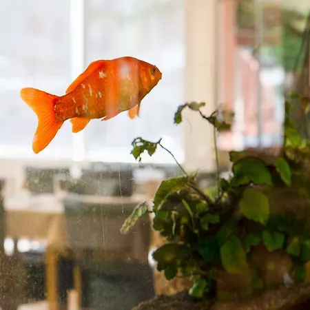 The Originals City, Gambetta, 3* Grenoble