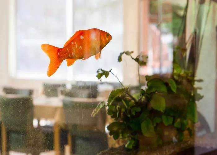 The Originals City, Gambetta, 3* Grenoble